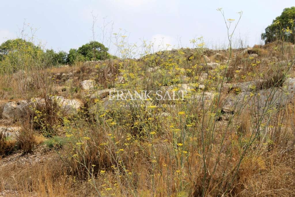 Birzebbugia, ,For Sale,FRSA-451296