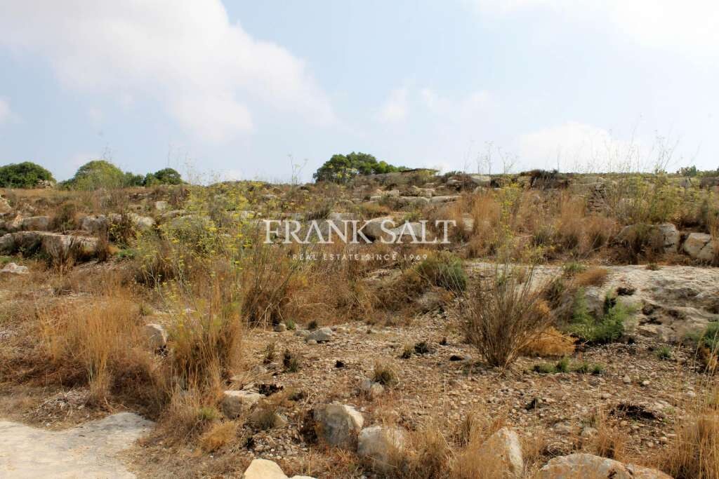 Birzebbugia, ,For Sale,FRSA-451296