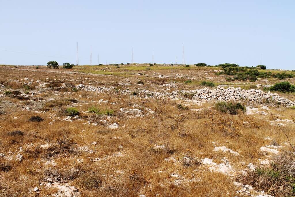 Mtahleb, ,For Sale,FRSA-450908