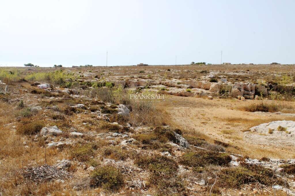 Mtahleb, ,For Sale,FRSA-450908