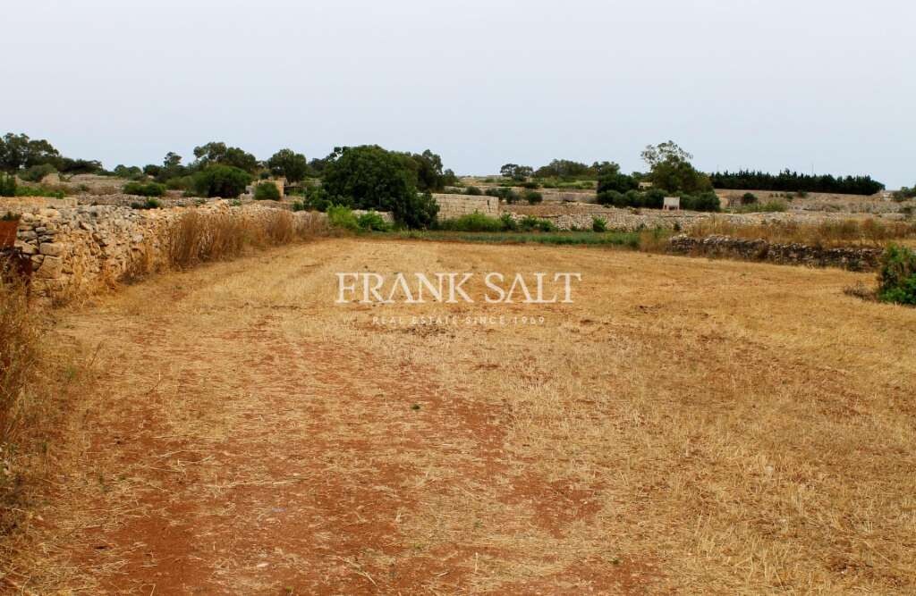 Safi, ,For Sale,FRSA-450812