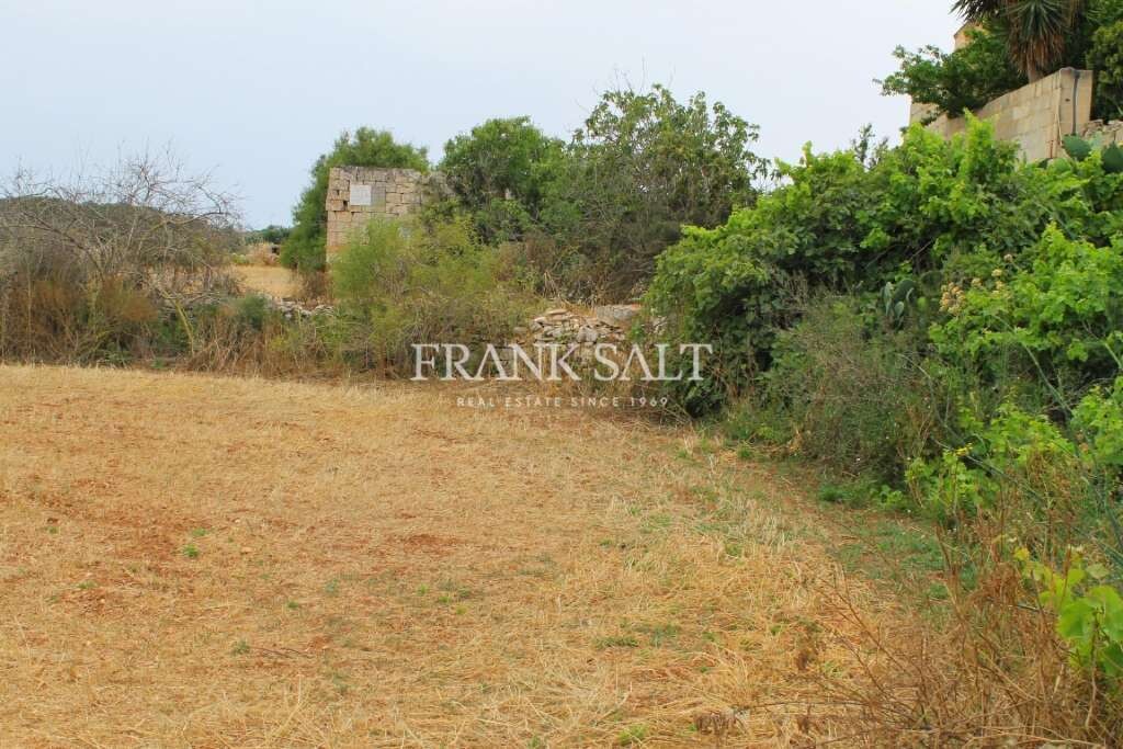 Safi, ,For Sale,FRSA-450812