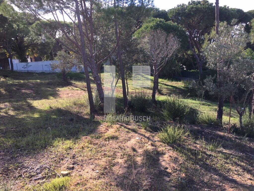 Land, For Sale
