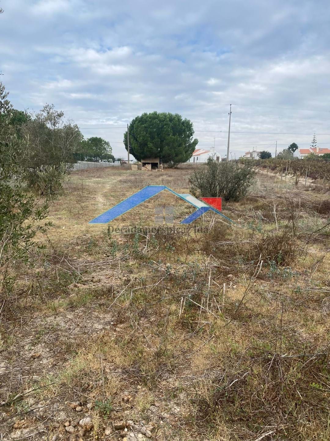 1 Bed, 1 Bath, HouseFor Sale, Coruche, Santarém, 2100-011