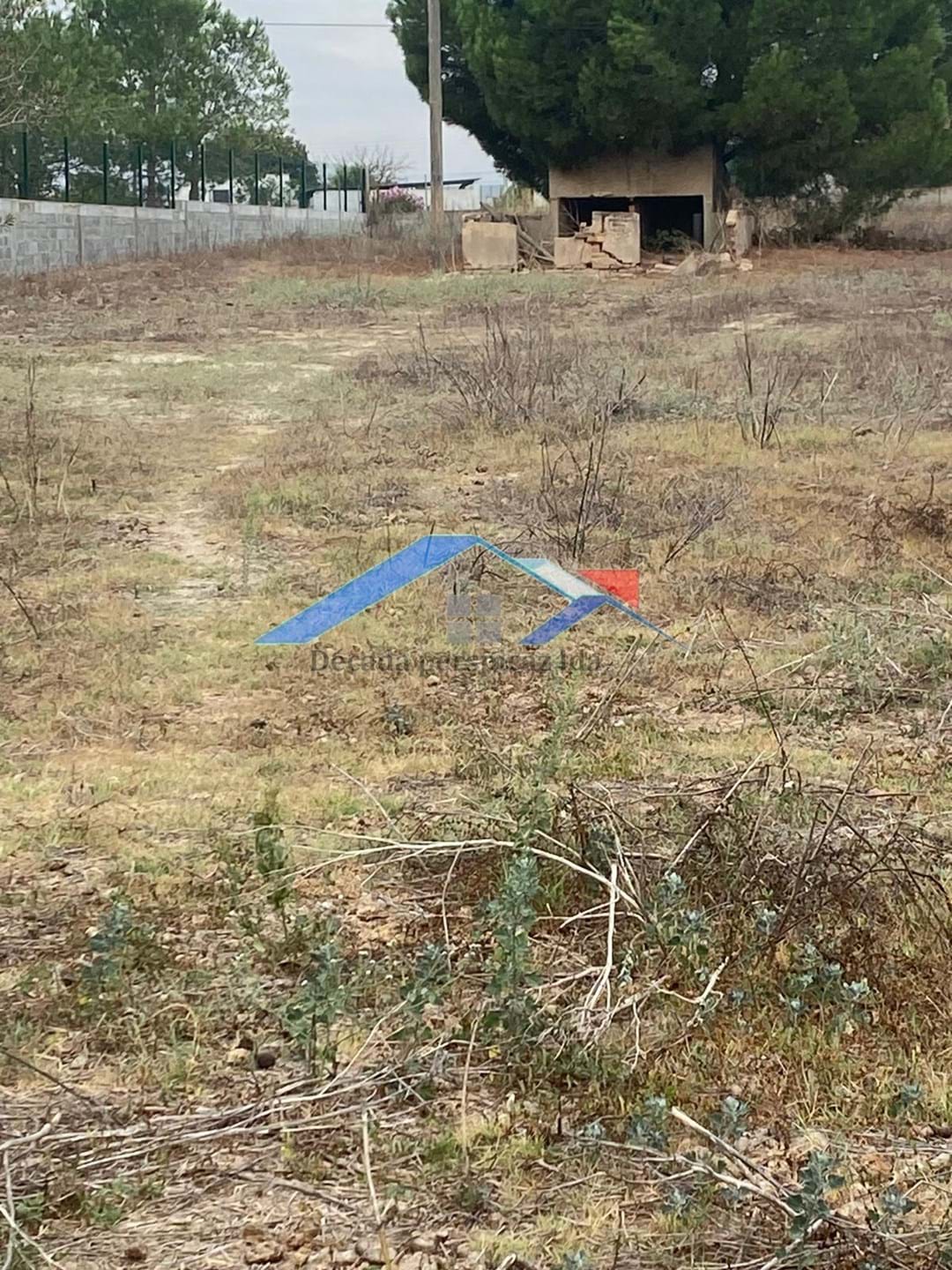 1 Bed, 1 Bath, HouseFor Sale, Coruche, Santarém, 2100-011