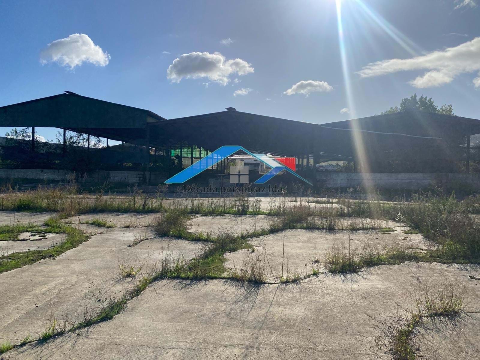 5 Bath, HouseFor Sale, Almeirim, Santarém, 2080-070