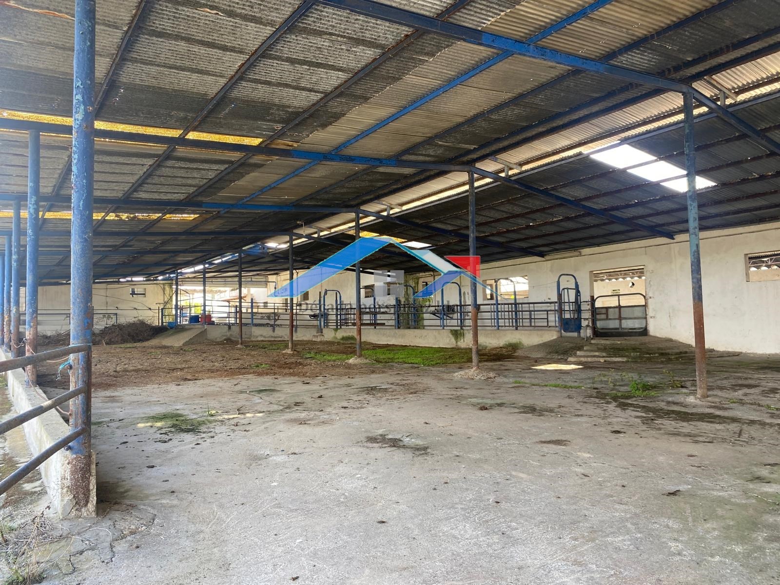 5 Bath, HouseFor Sale, Almeirim, Santarém, 2080-070