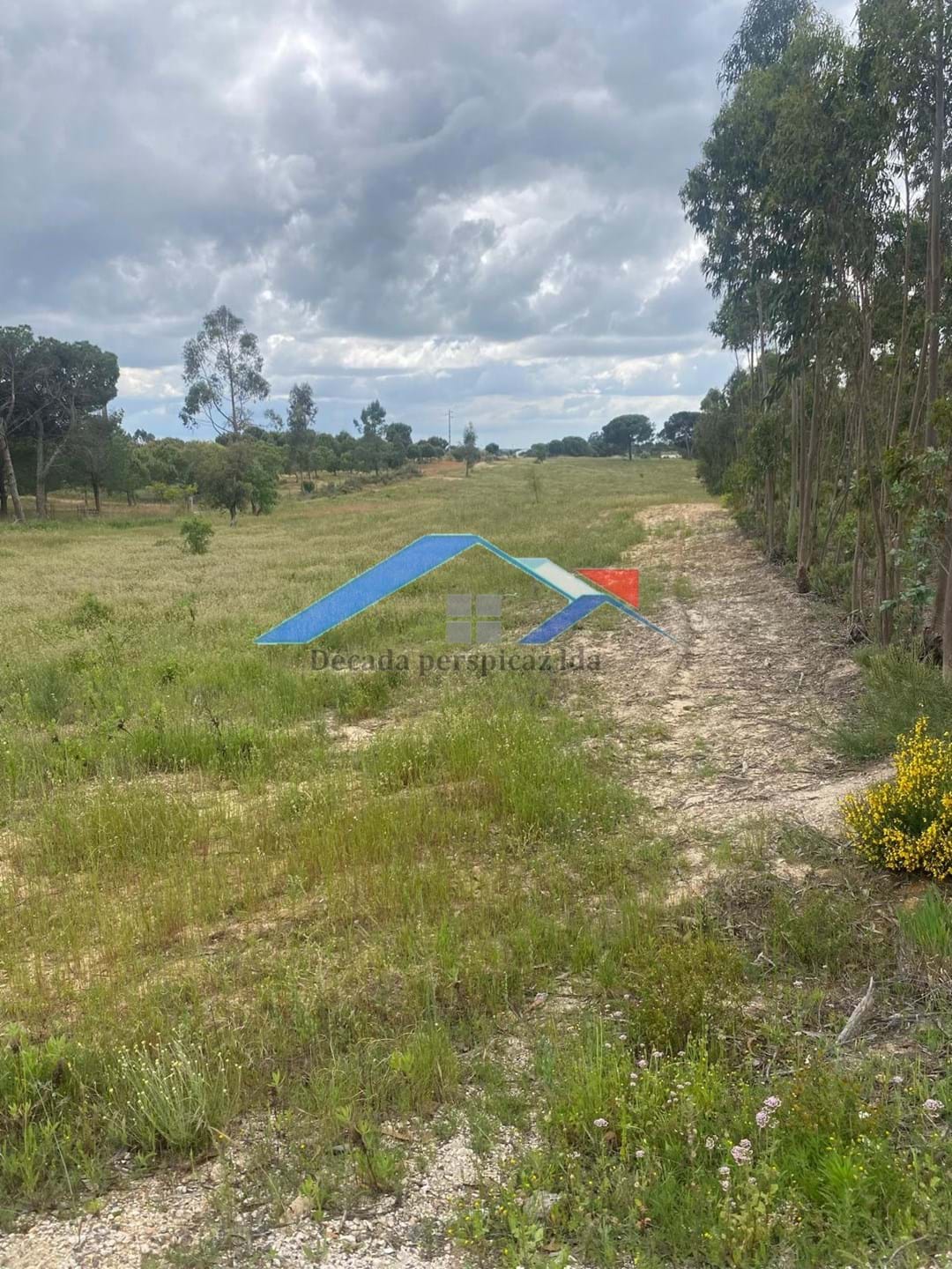 2 Bed, 1 Bath, HouseFor Sale, Coruche, Santarém, 2100-608