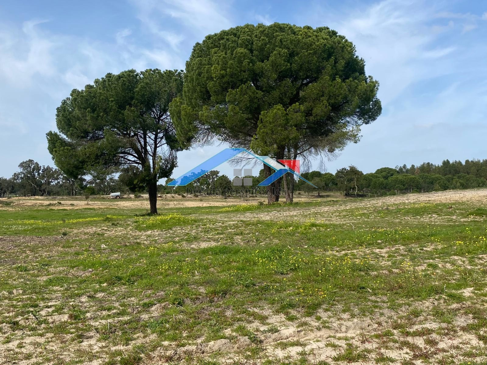 2 Bed, 1 Bath, HouseFor Sale, Coruche, Santarém, 2100-608