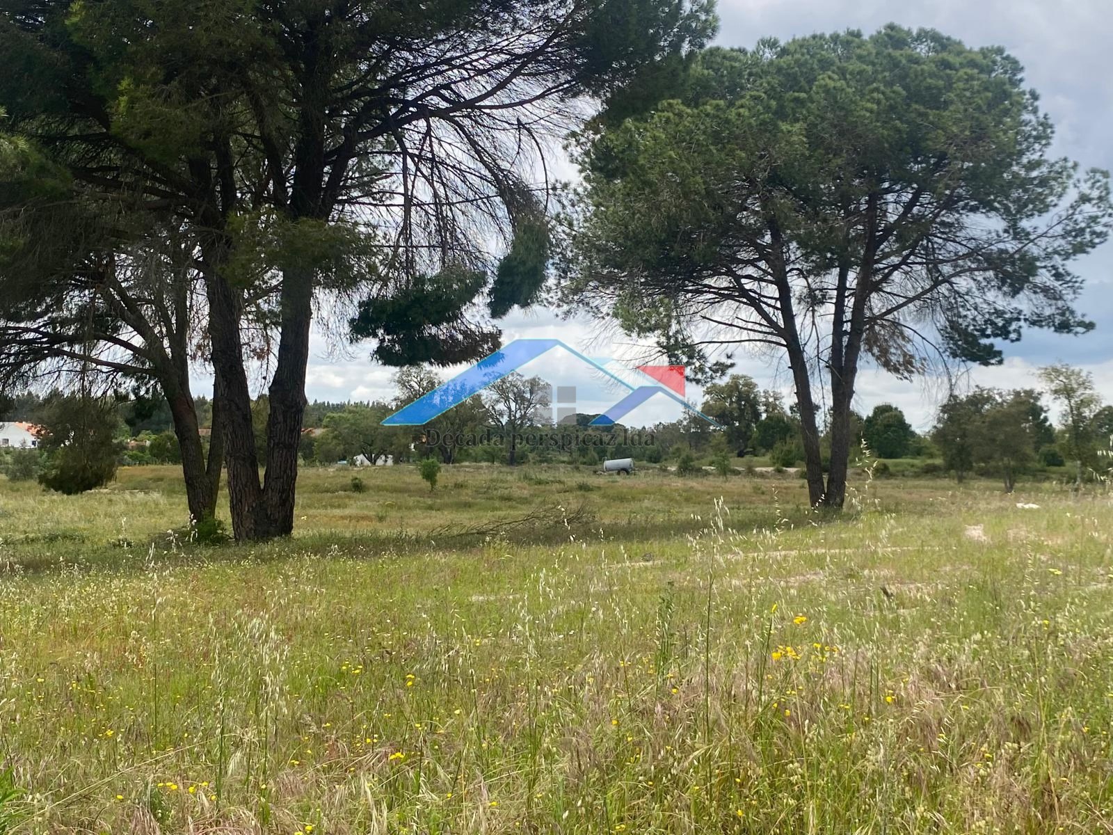 2 Bed, 1 Bath, HouseFor Sale, Coruche, Santarém, 2100-608