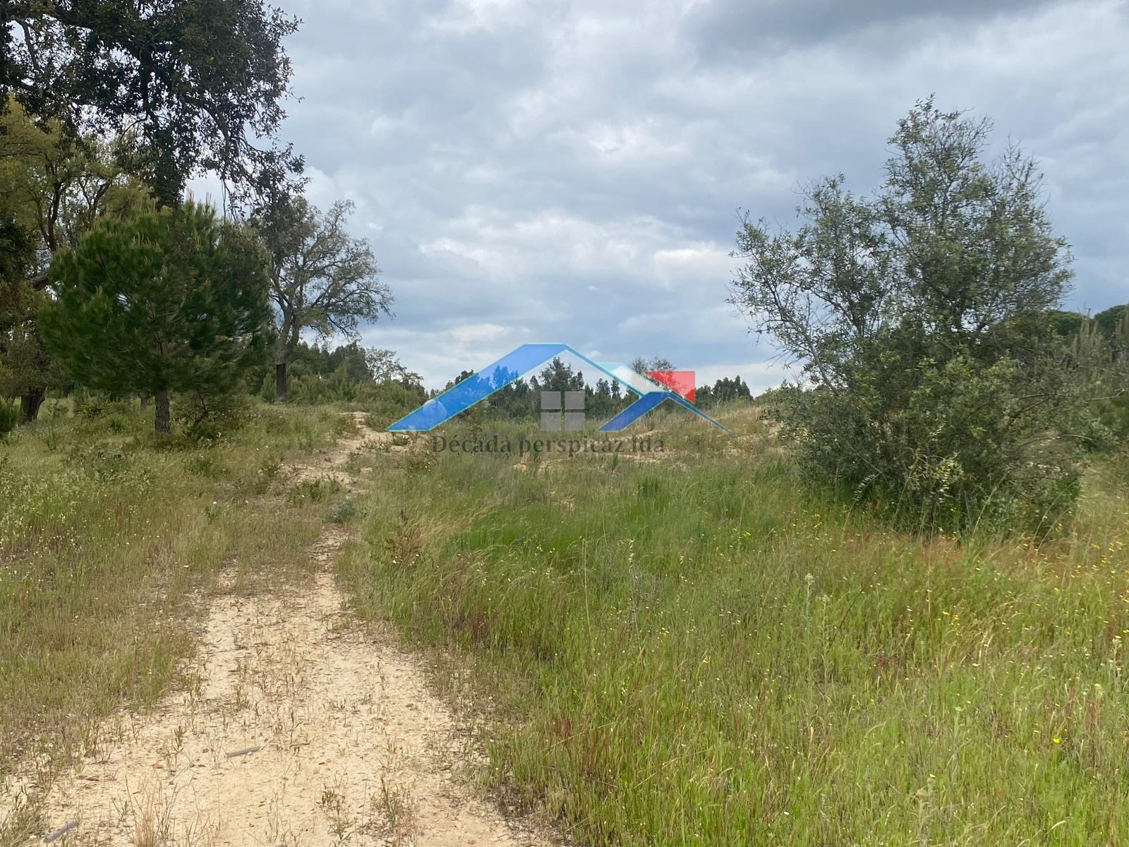 2 Bed, 1 Bath, HouseFor Sale, Coruche, Santarém, 2100-608