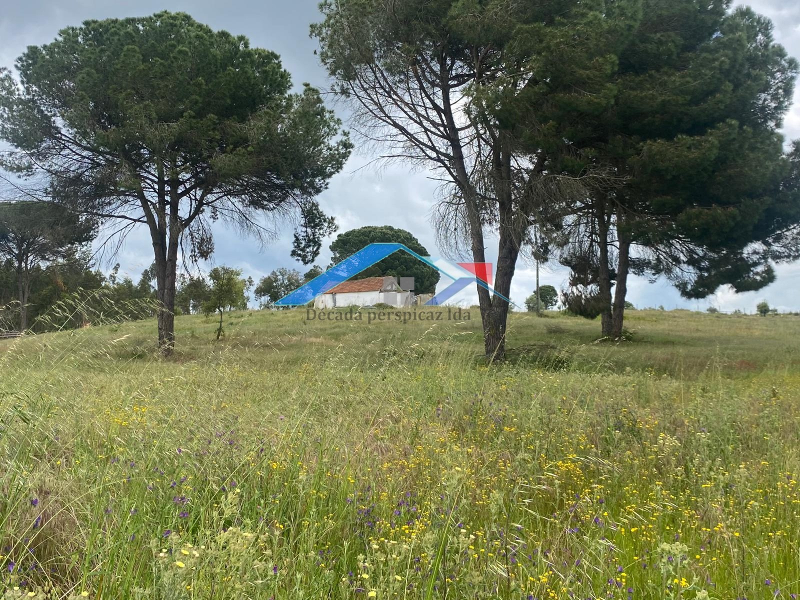 2 Bed, 1 Bath, HouseFor Sale, Coruche, Santarém, 2100-608