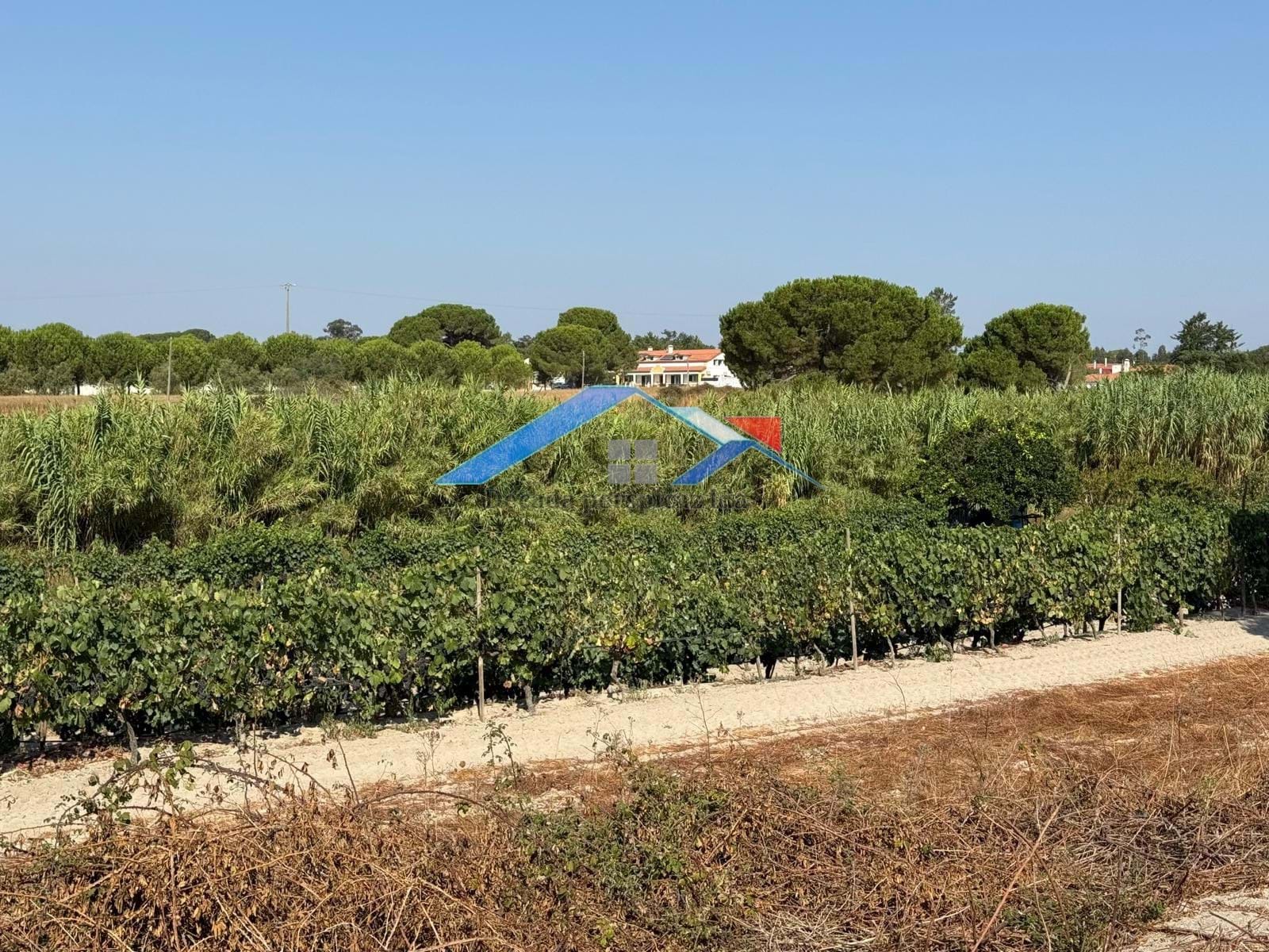 4 Bed, 2 Bath, HouseFor Sale, Coruche, Santarém, 2100