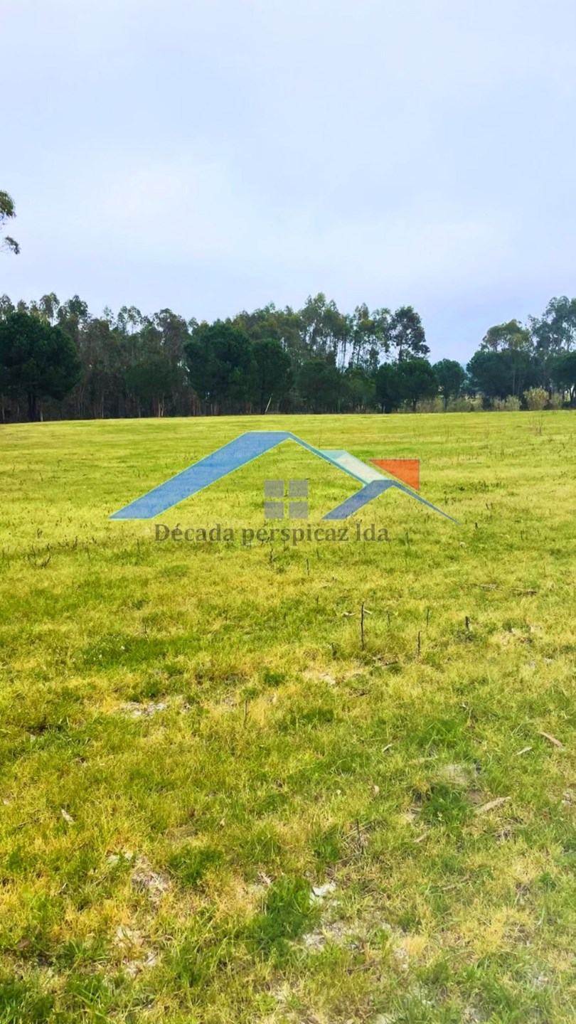 2 Bed, 1 Bath, HouseFor Sale, Coruche, Santarém, 2100-607