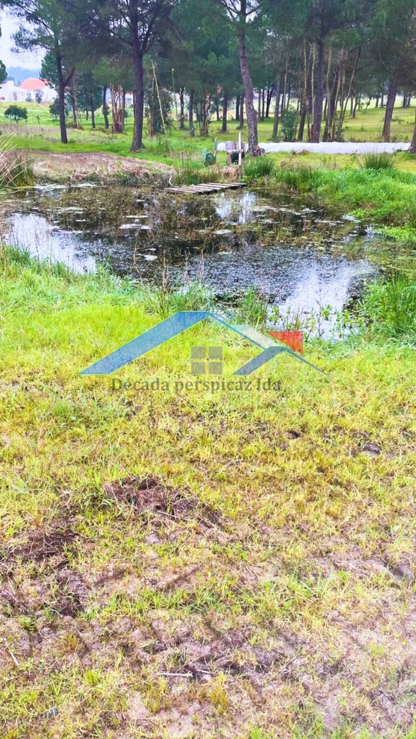 2 Bed, 1 Bath, HouseFor Sale, Coruche, Santarém, 2100-607