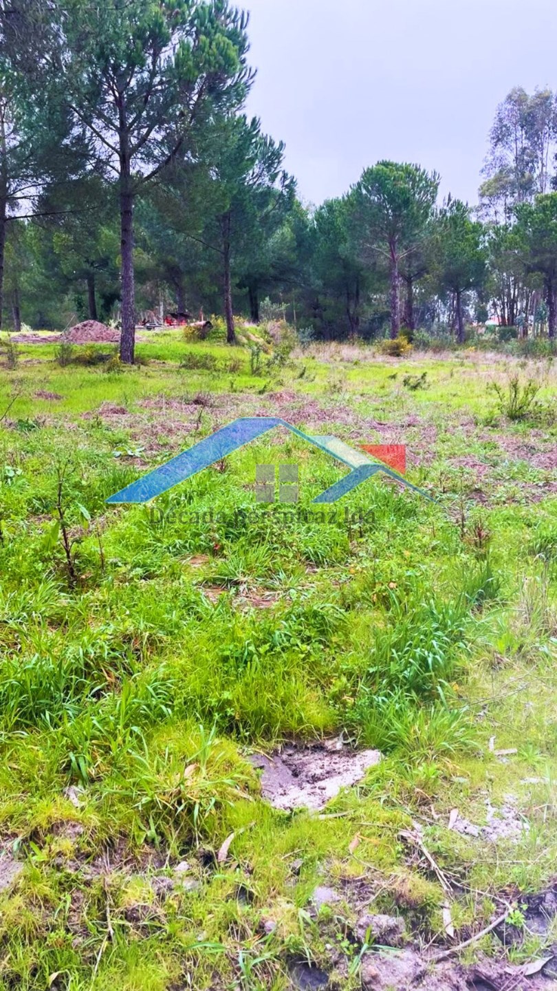 2 Bed, 1 Bath, HouseFor Sale, Coruche, Santarém, 2100-607