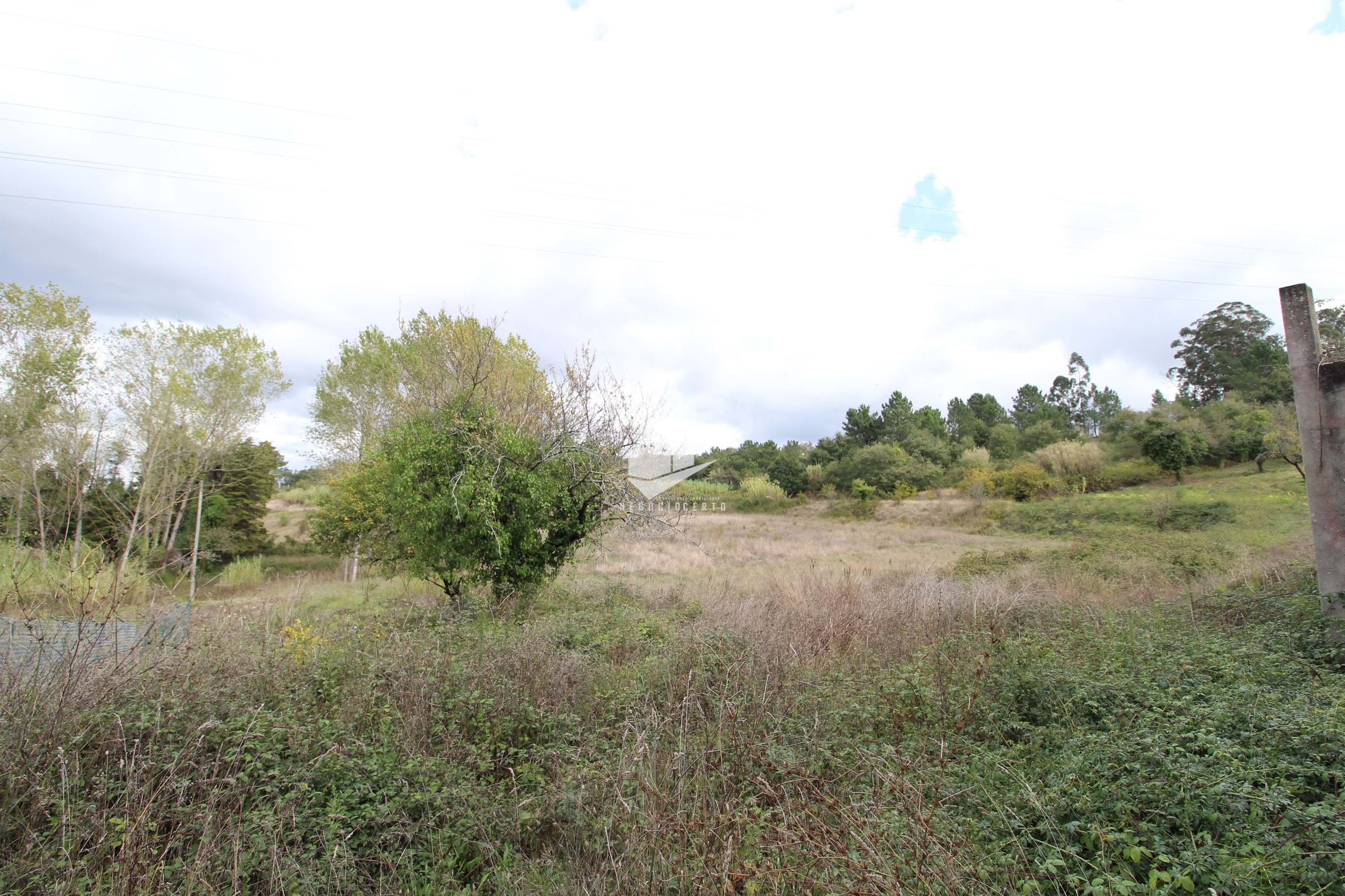 Commercial Property, For Sale