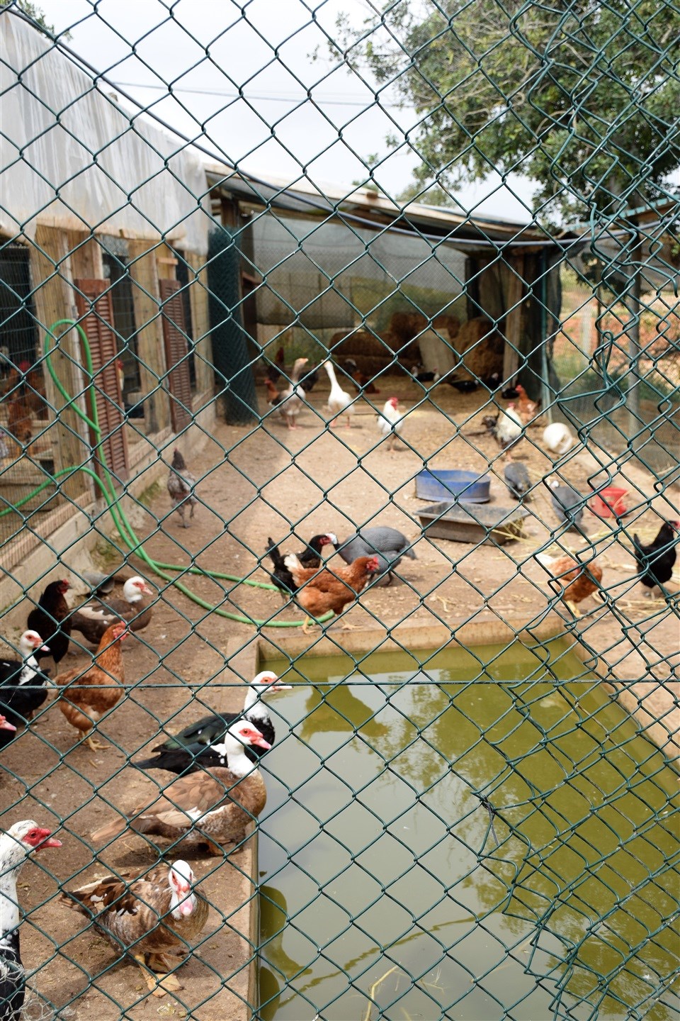 HouseFor Sale, Guia, Albufeira, Faro, 8200