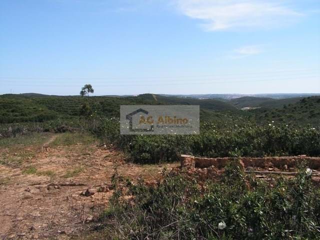 Land, For Sale