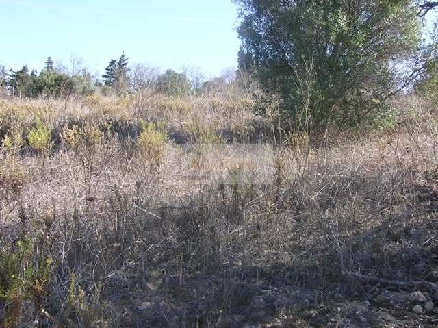 Land, For Sale