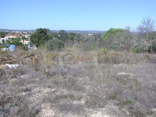 Land, For Sale