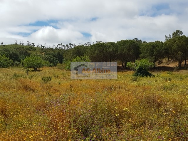 Land, For Sale