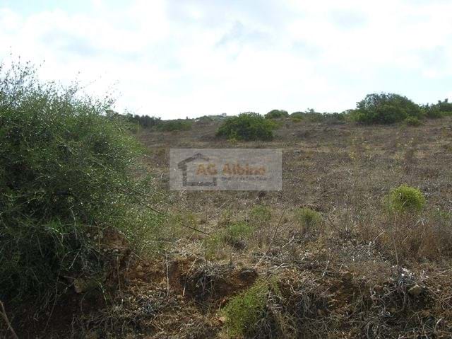 Land, For Sale