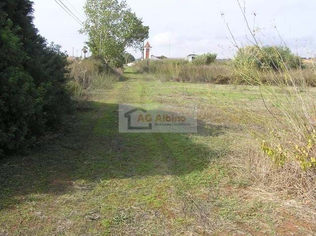 Land, For Sale