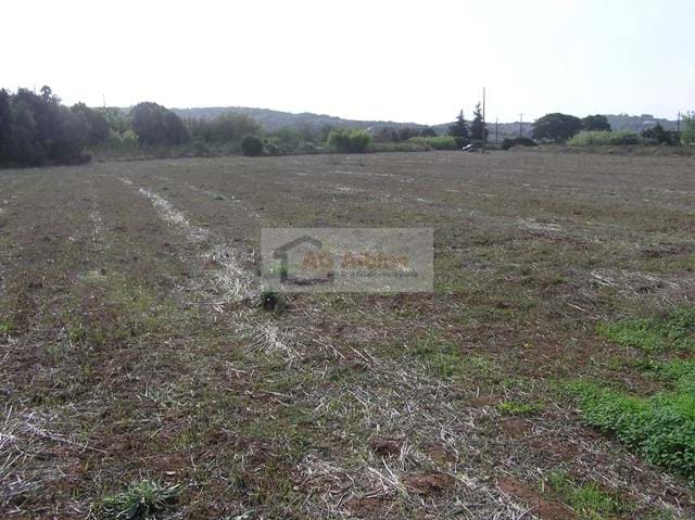Land, For Sale