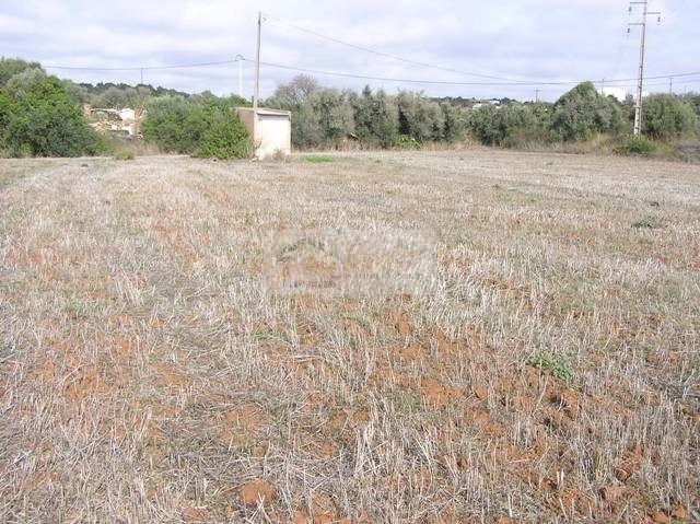 Land, For Sale