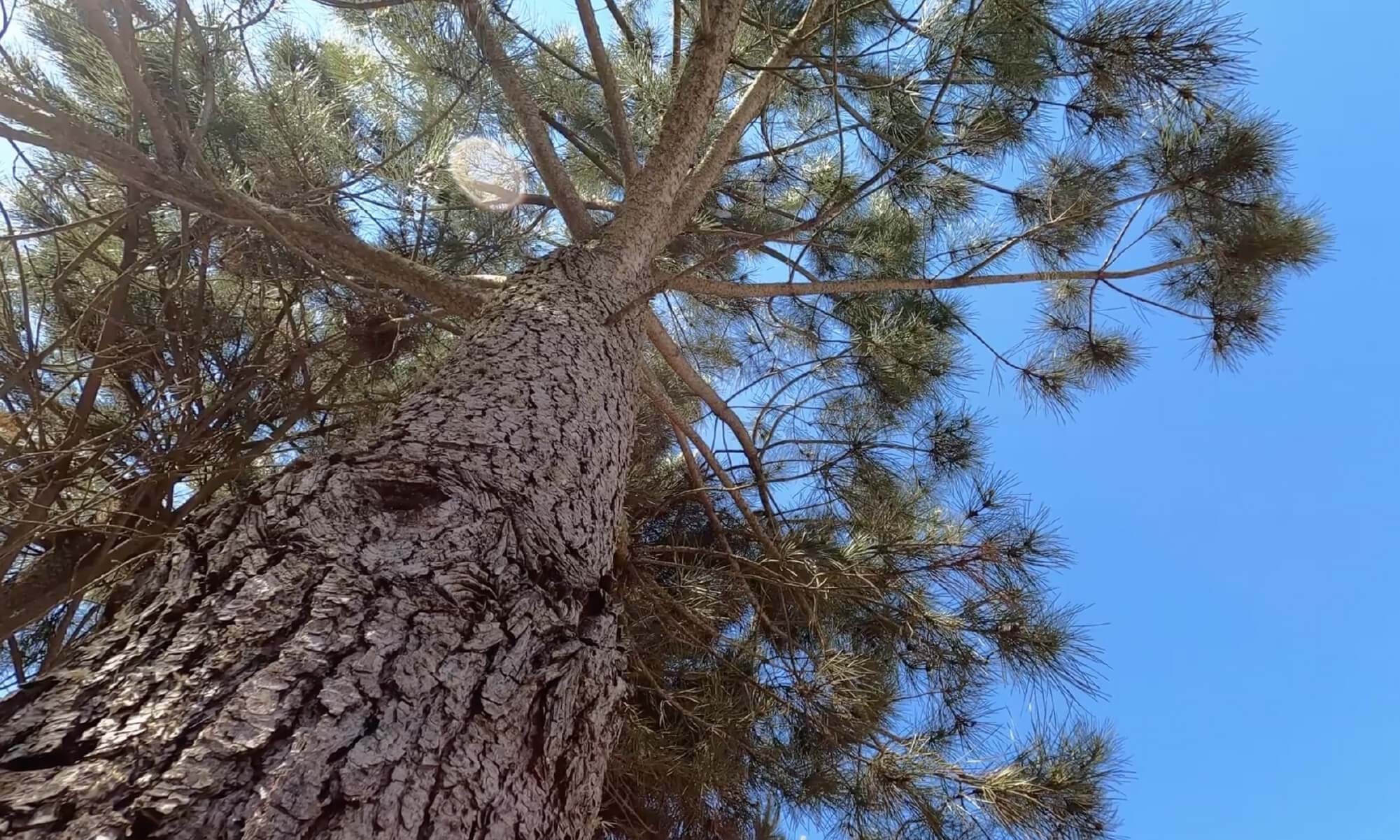 2 Bed, 2 Bath, ApartmentFor Sale, Nazaré, Leiria, 2450