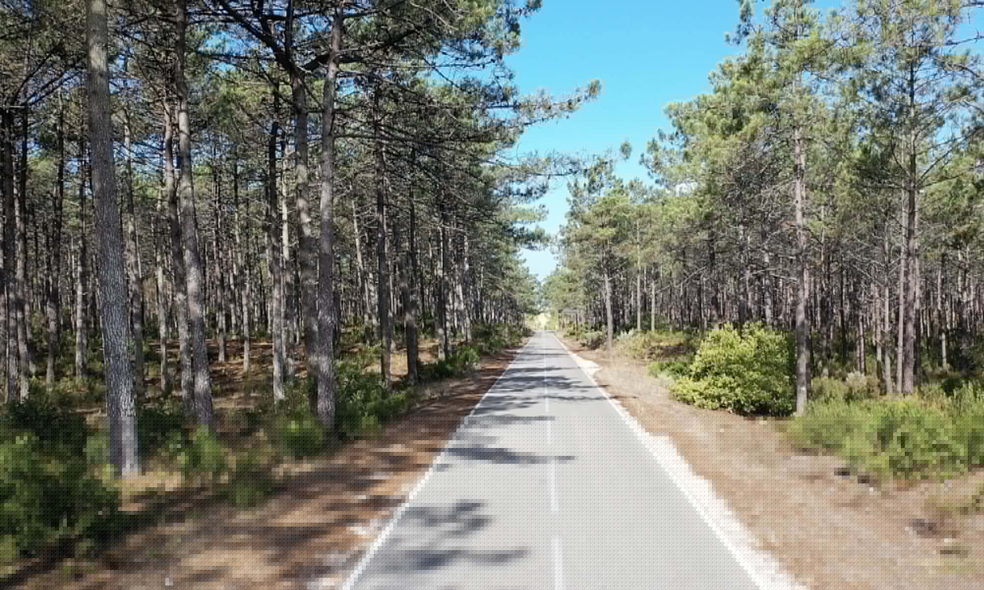 2 Bed, 2 Bath, ApartmentFor Sale, Nazaré, Leiria, 2445-512