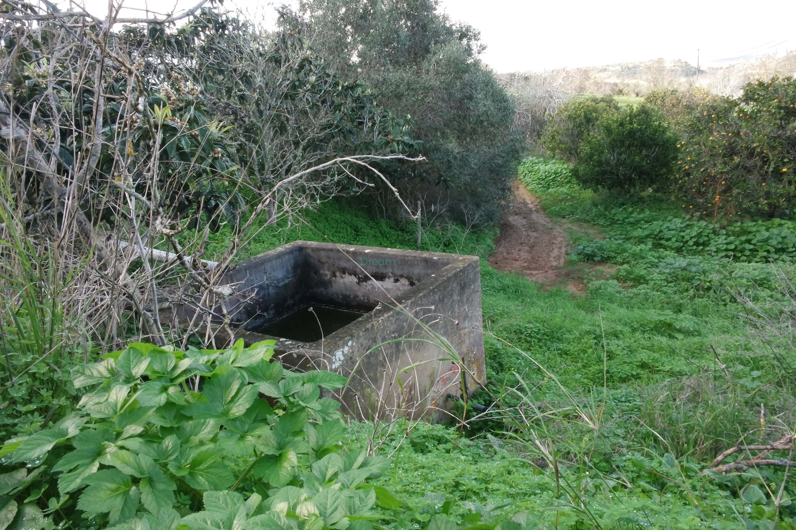 5 Bed, 2 Bath, HouseFor Sale, Lagos, Faro, 8600-308