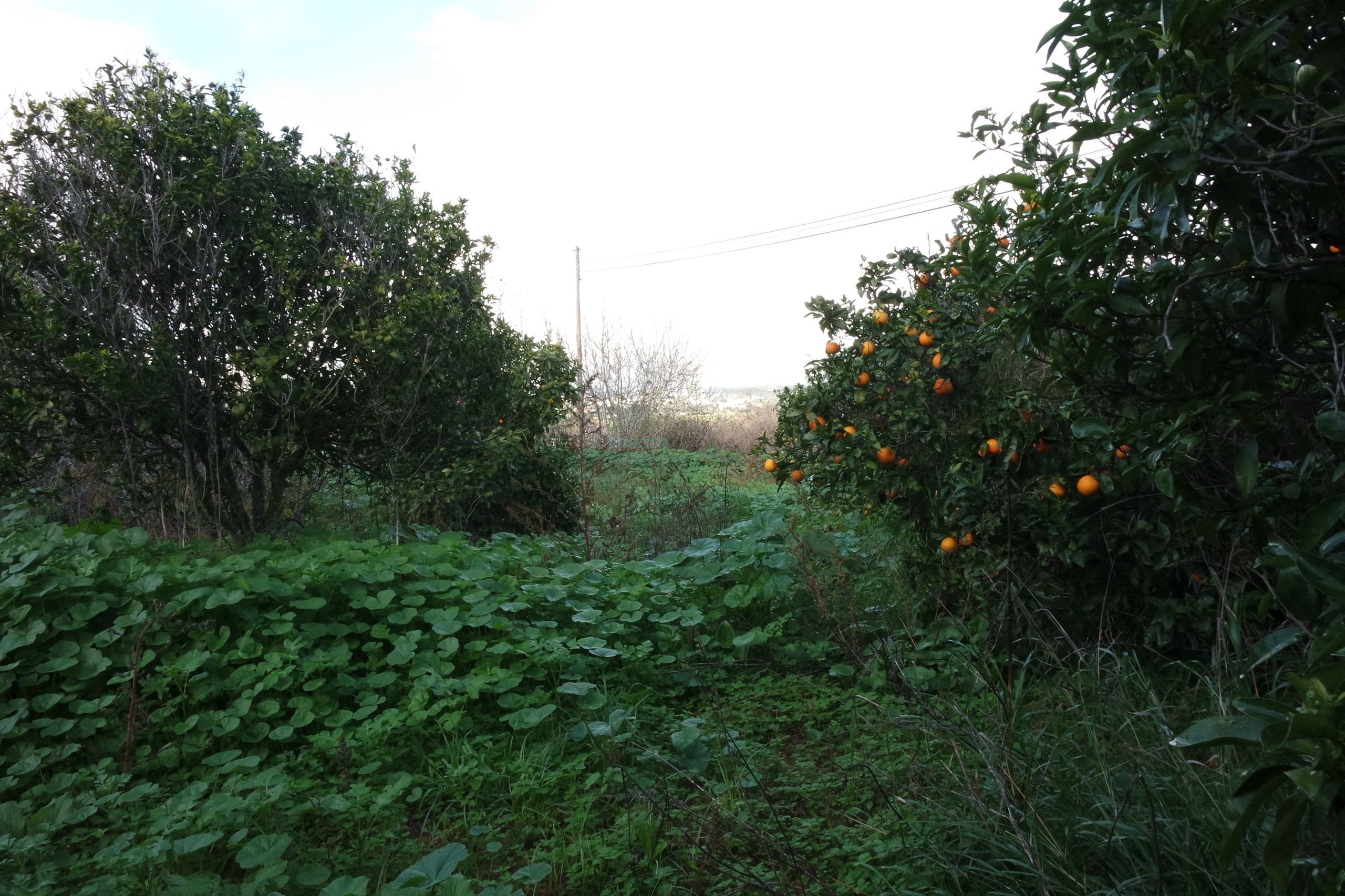 5 Bed, 2 Bath, HouseFor Sale, Lagos, Faro, 8600-308