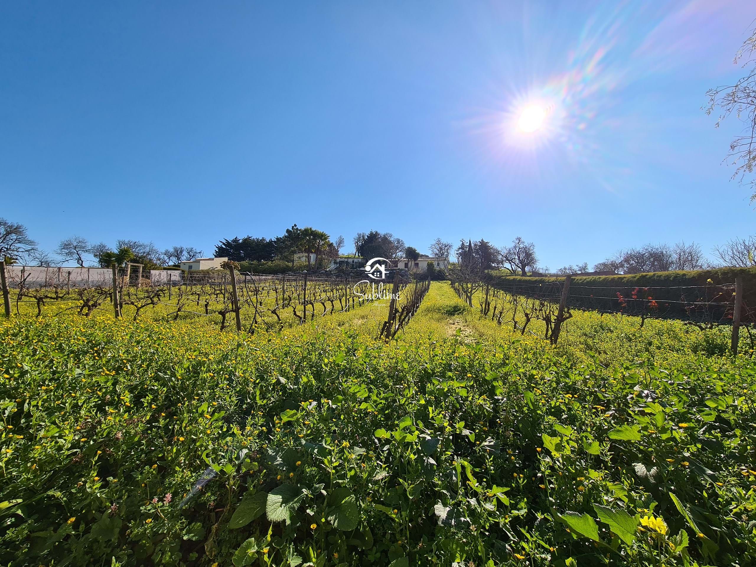 9 Bed, 3 Bath, HouseFor Sale, Praia da Luz, Lagos, Faro, 8600-109