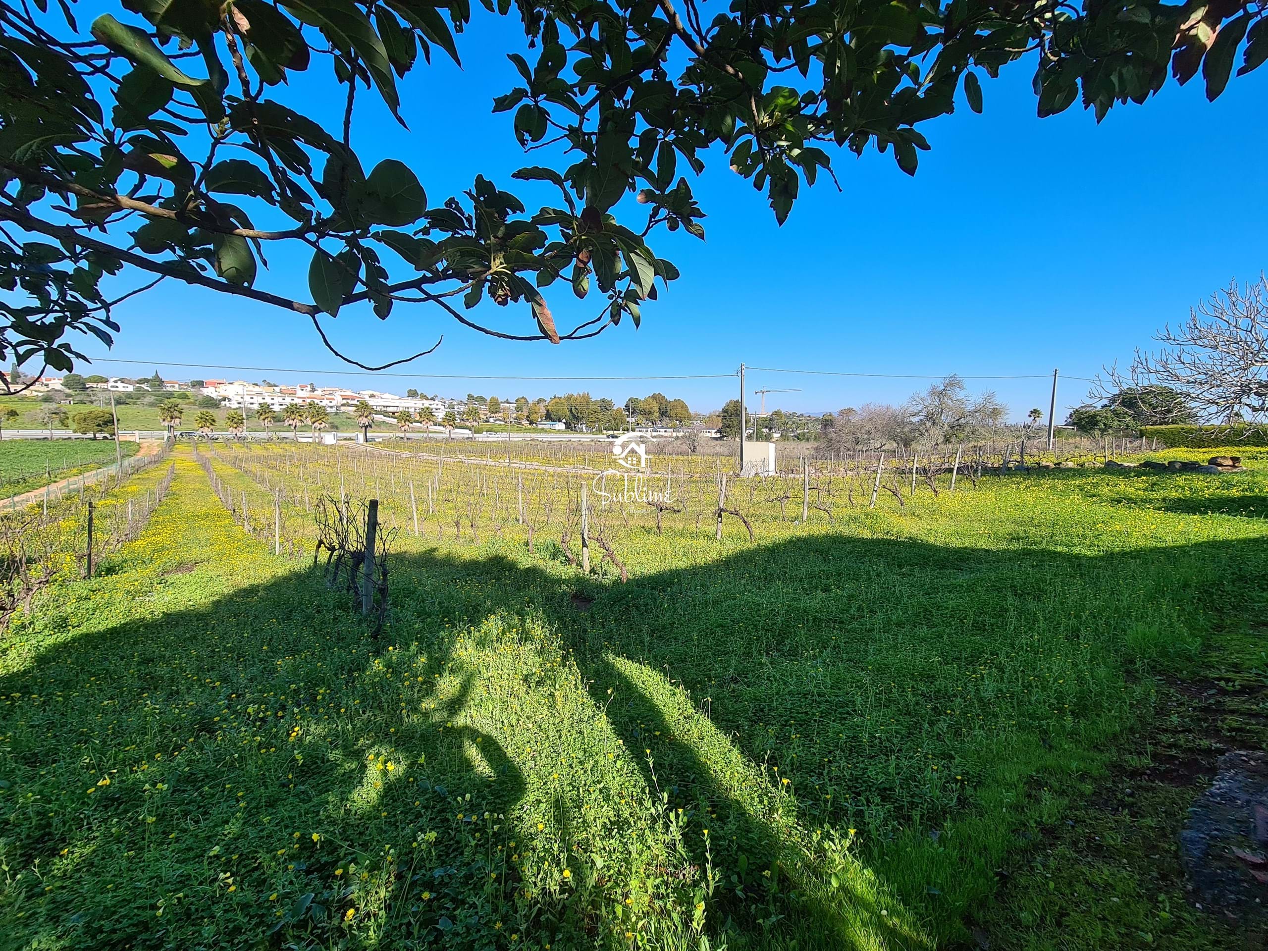 9 Bed, 3 Bath, HouseFor Sale, Praia da Luz, Lagos, Faro, 8600-109