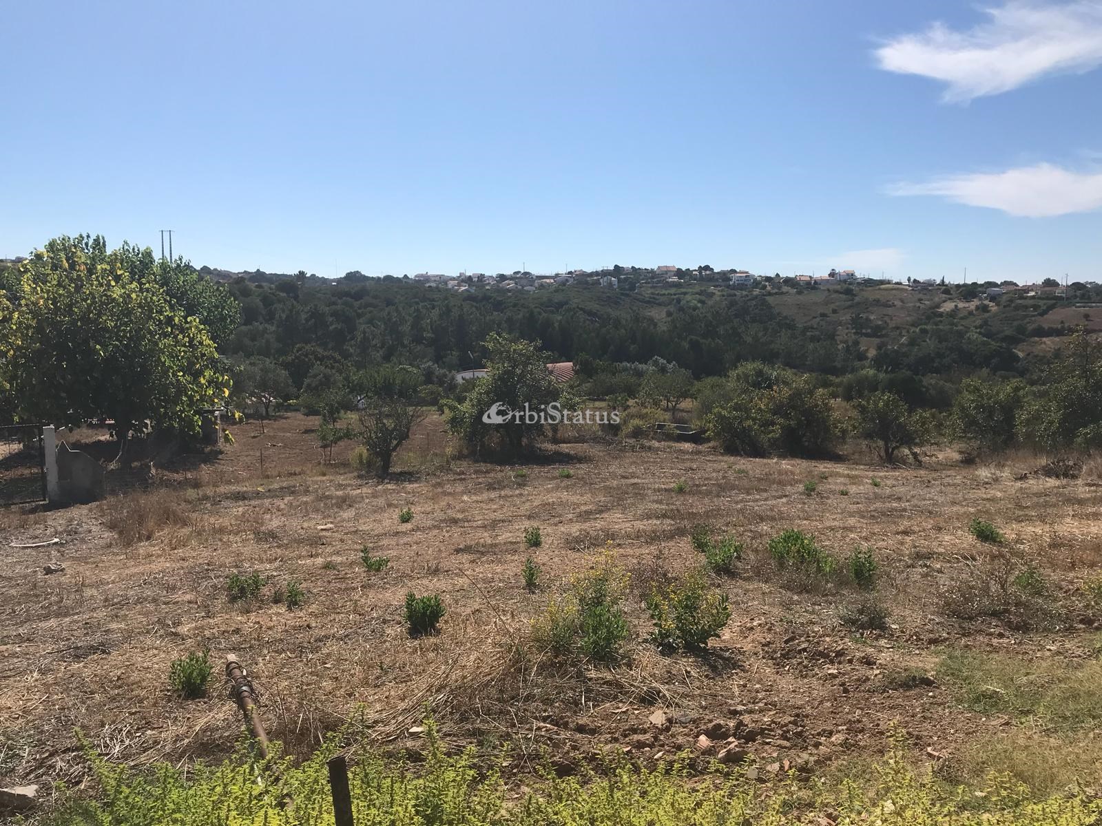 Land, For Sale