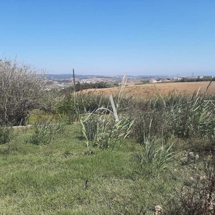 4 Bed, 3 Bath, HouseFor Sale, Lourinhã, Lisboa