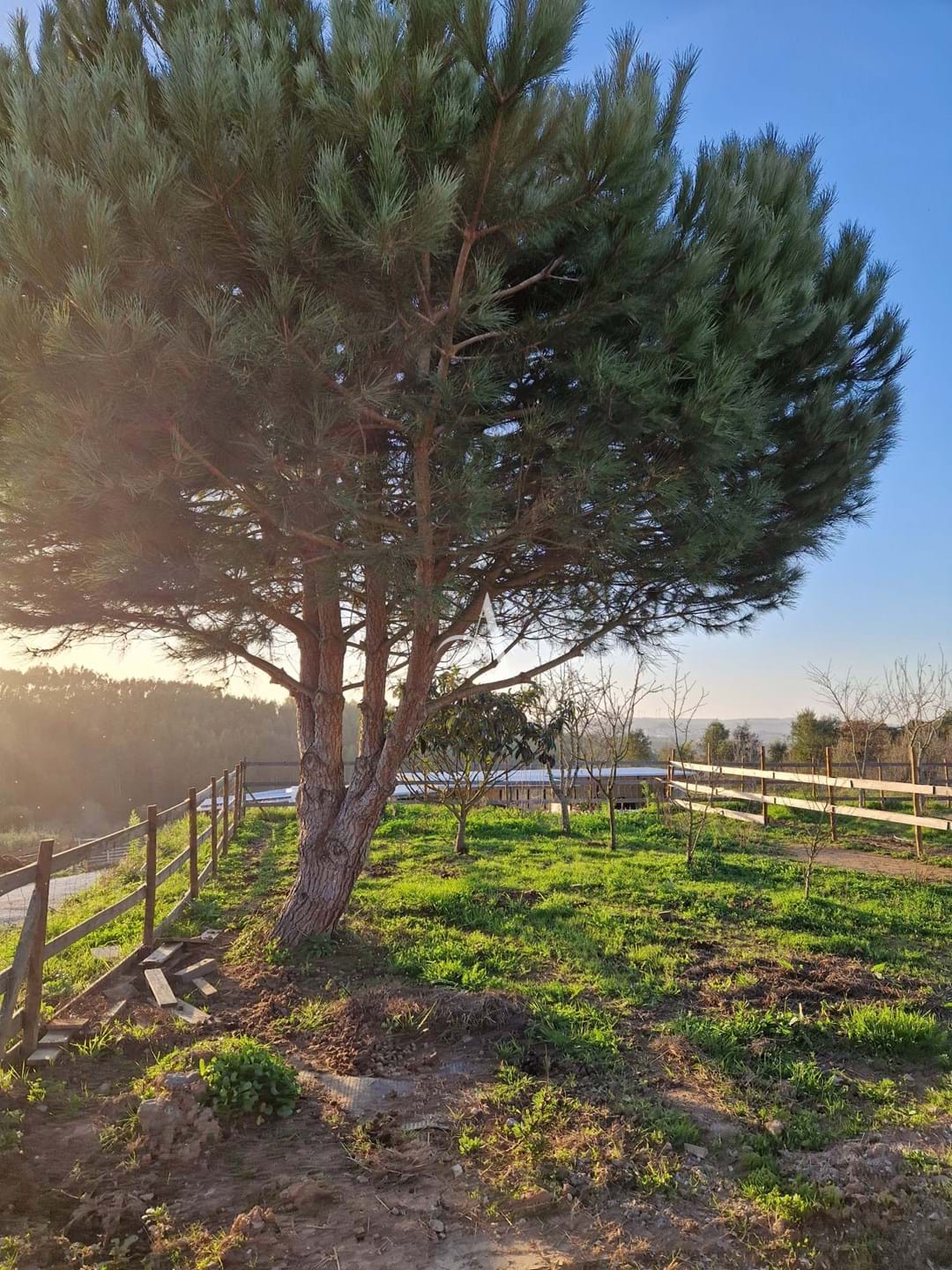 6 Bed, 6 Bath, HouseFor Sale, Bombarral, Leiria