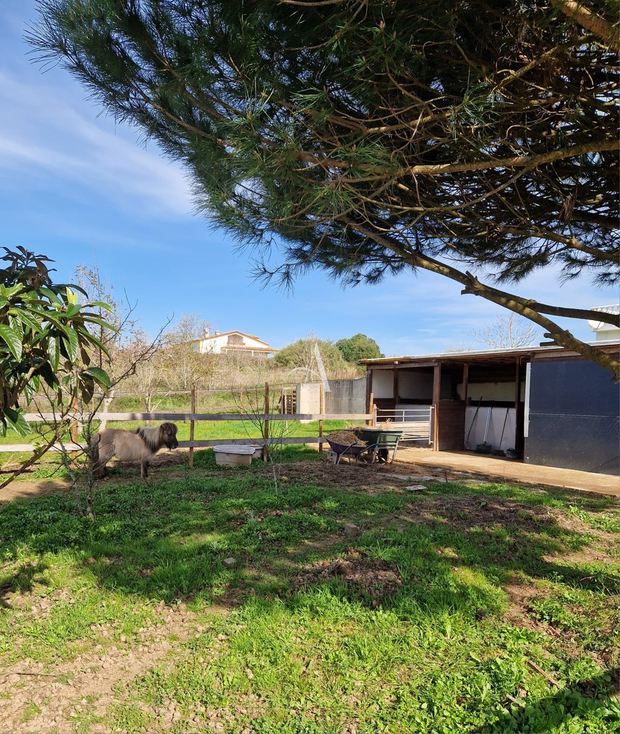 6 Bed, 6 Bath, HouseFor Sale, Bombarral, Leiria