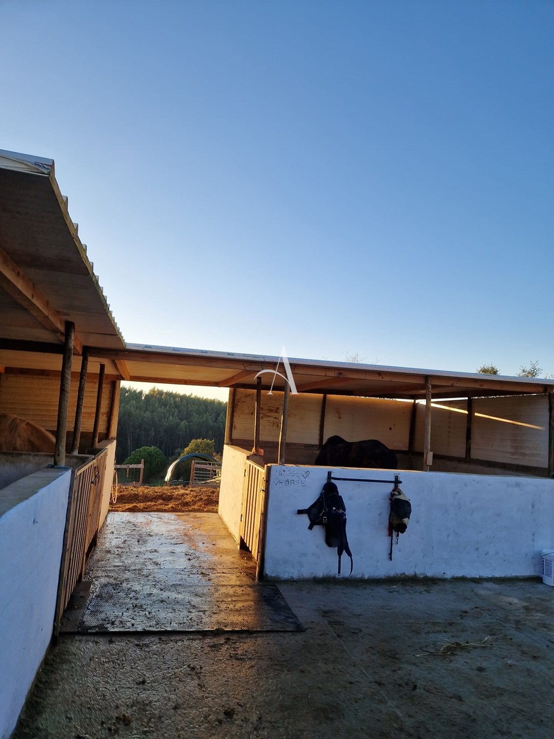 6 Bed, 6 Bath, HouseFor Sale, Bombarral, Leiria