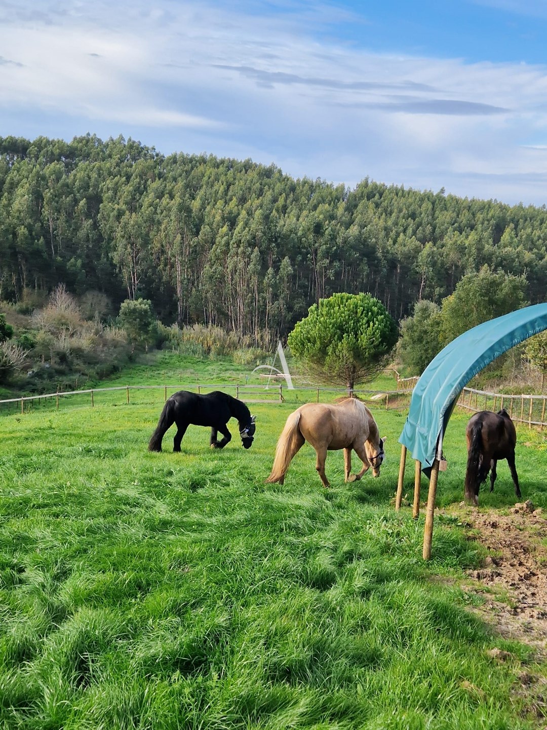 6 Bed, 6 Bath, HouseFor Sale, Bombarral, Leiria