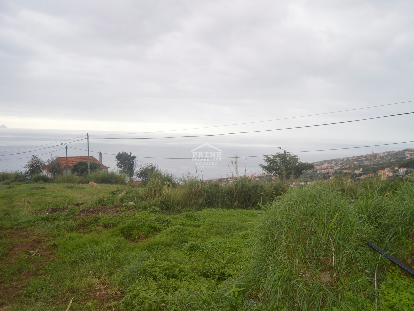 Land, For Sale