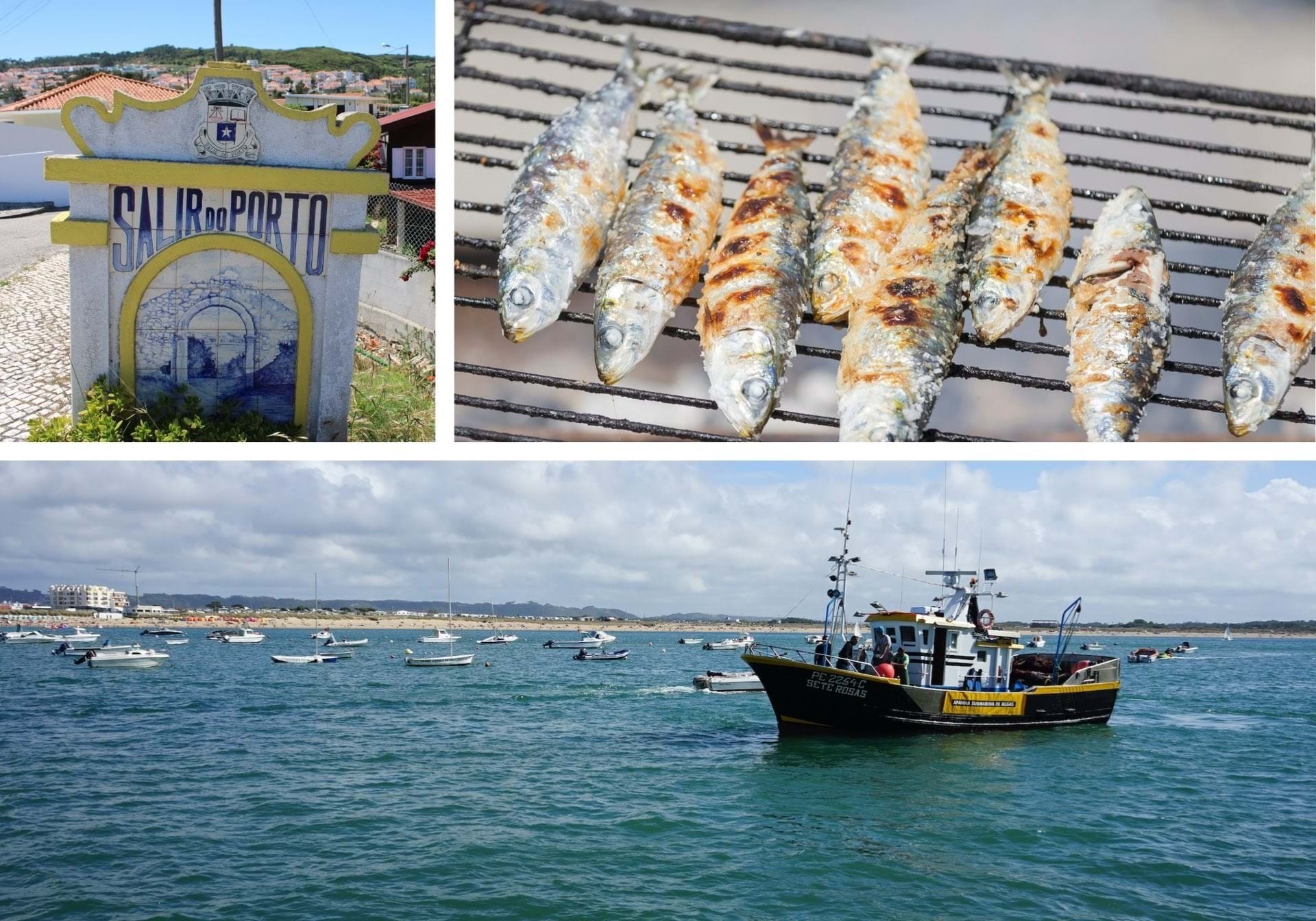 3 Bed, 3 Bath, HouseFor Sale, Alcobaça, Leiria, 2460-682