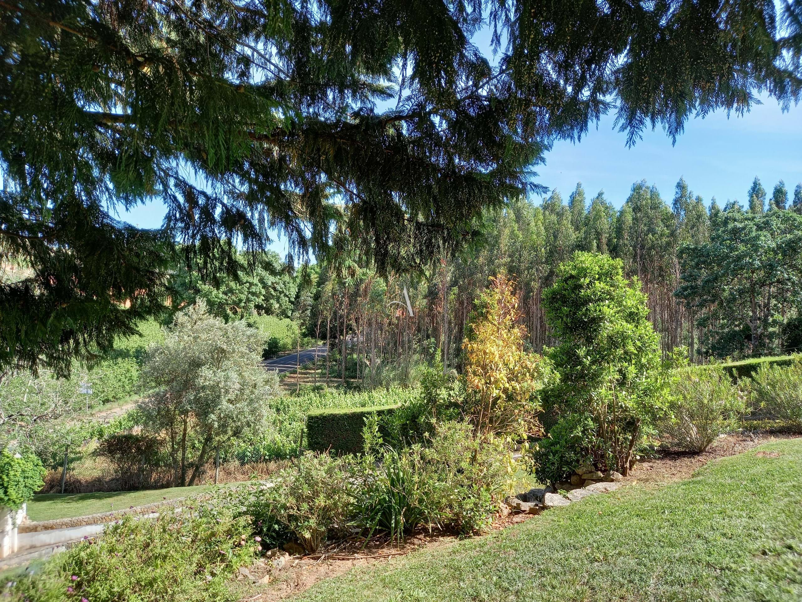 4 Bed, 3 Bath, HouseFor Sale, Caldas da Rainha, Leiria