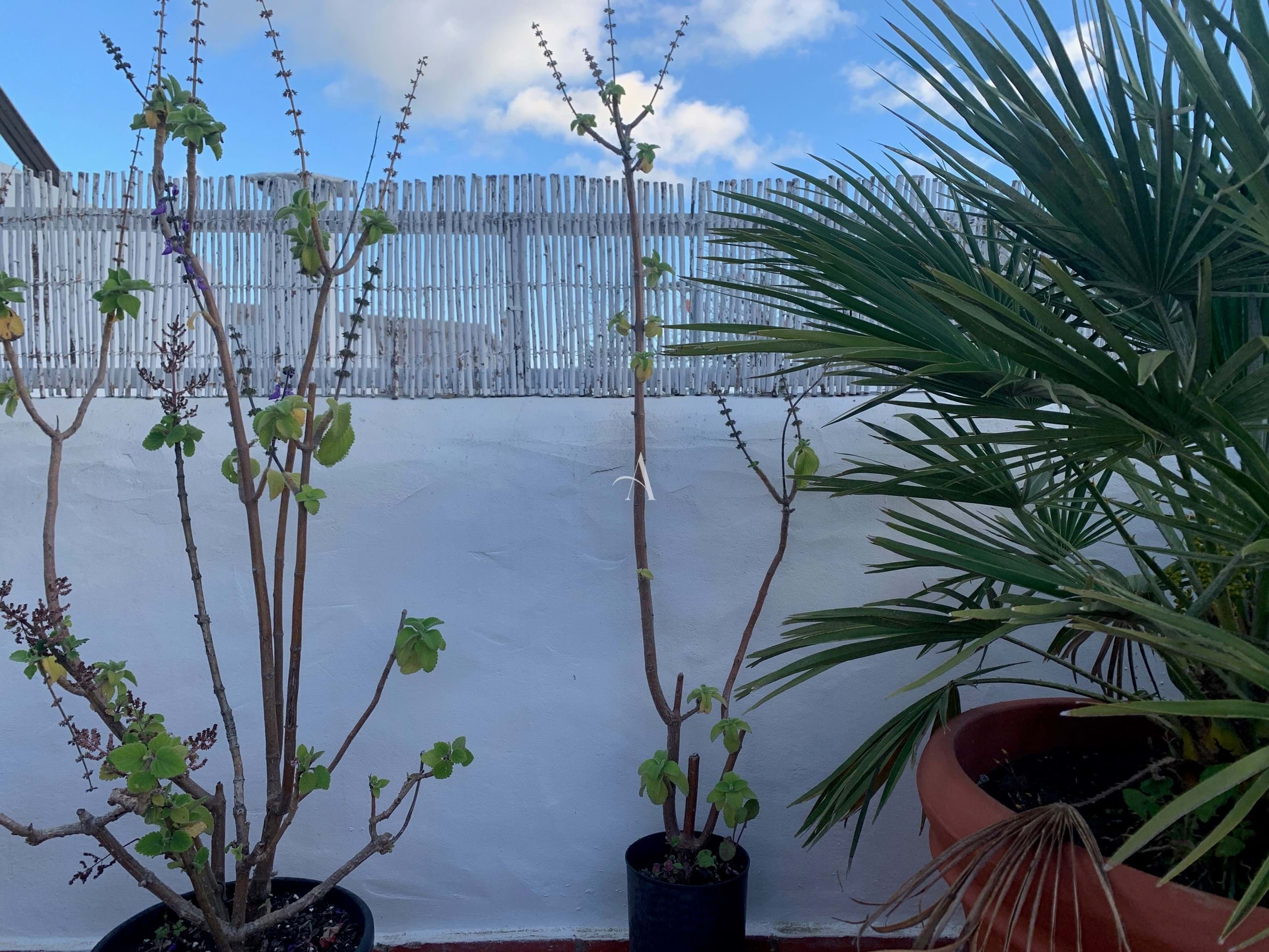 2 Bed, 2 Bath, HouseFor Sale, Sao Bras De Alportel, Faro