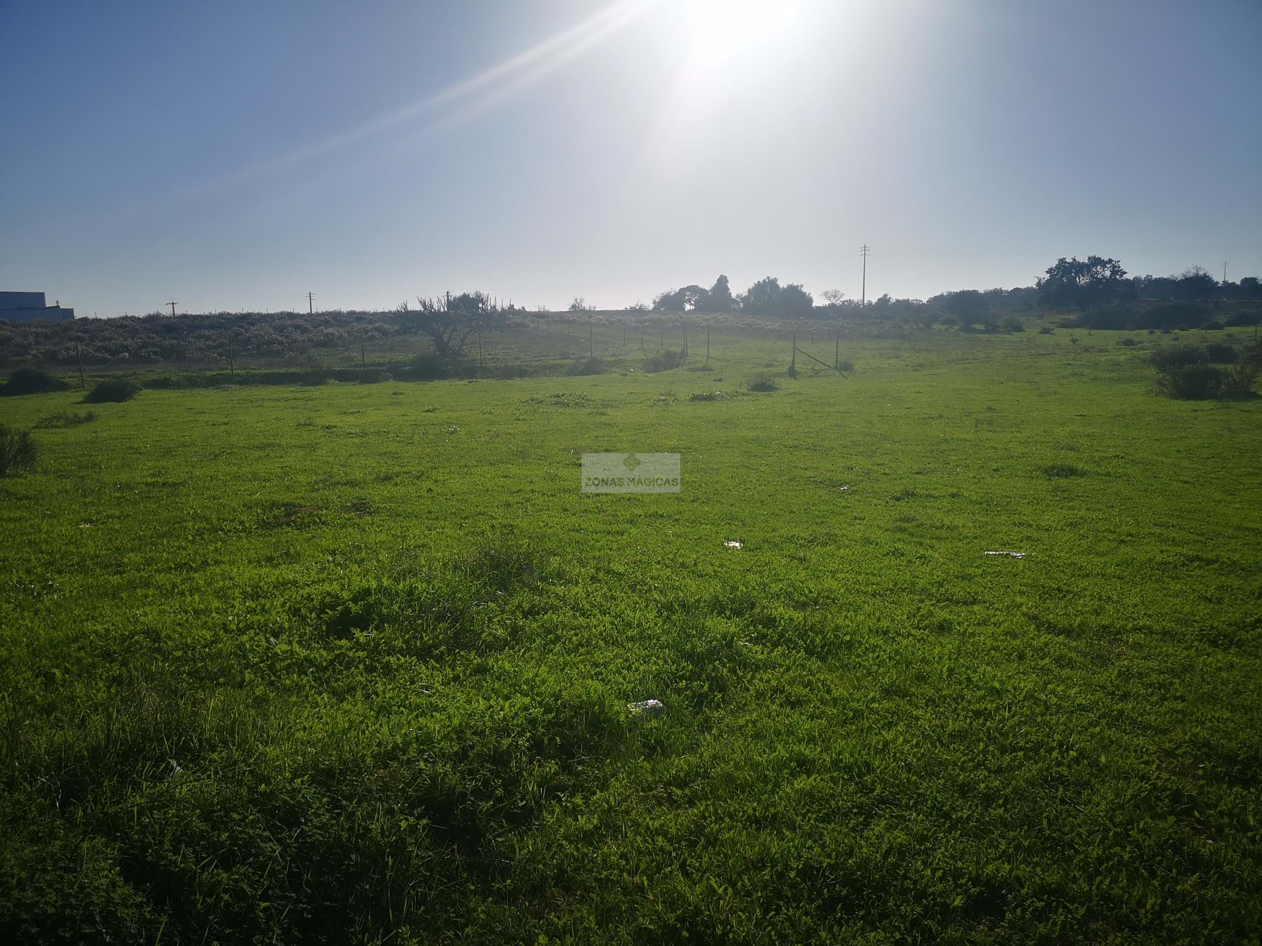 Land, For Sale
