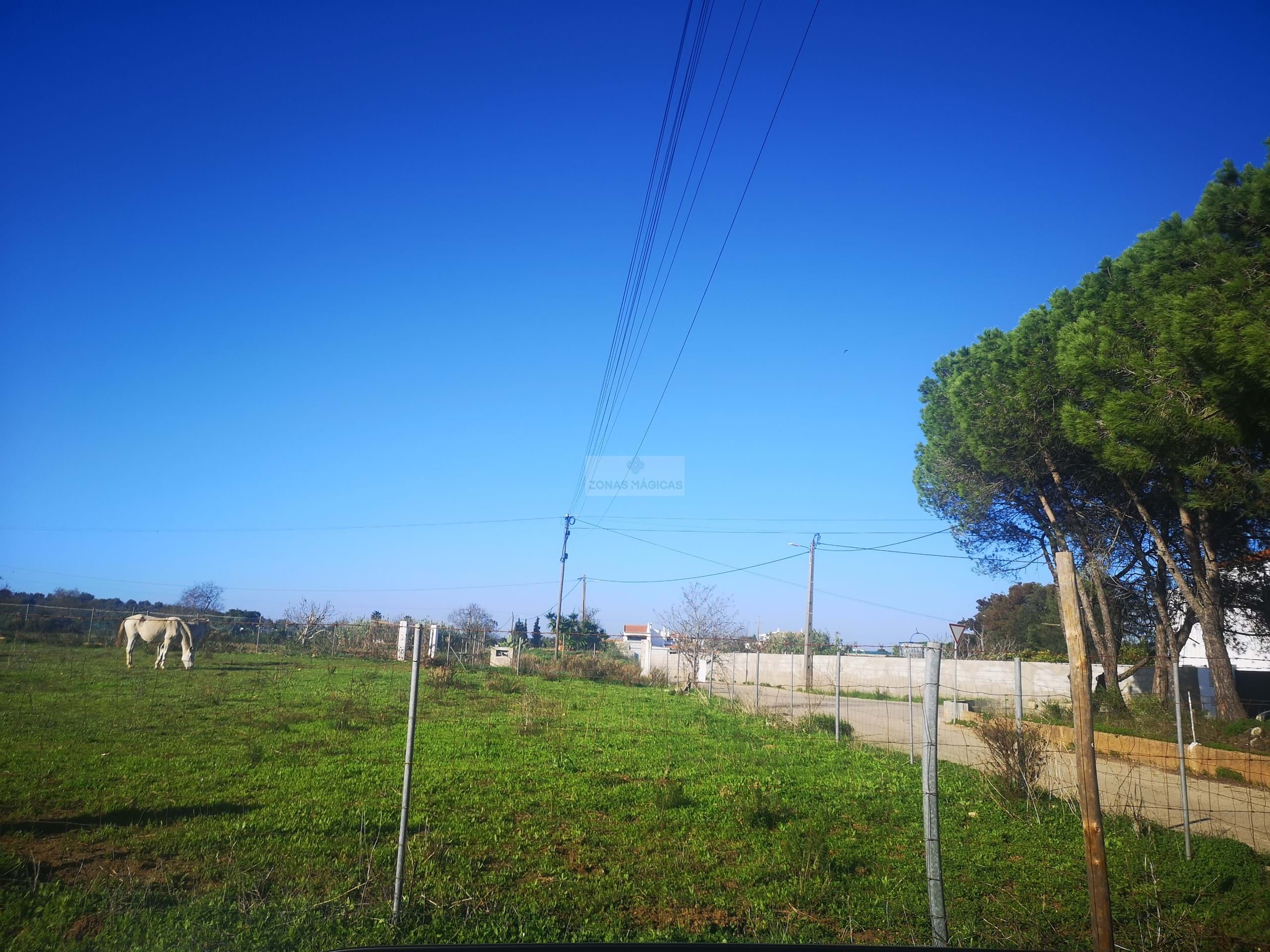 Land, For Sale