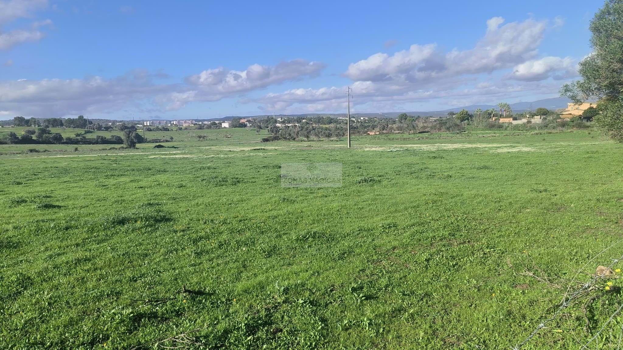 Land, For Sale