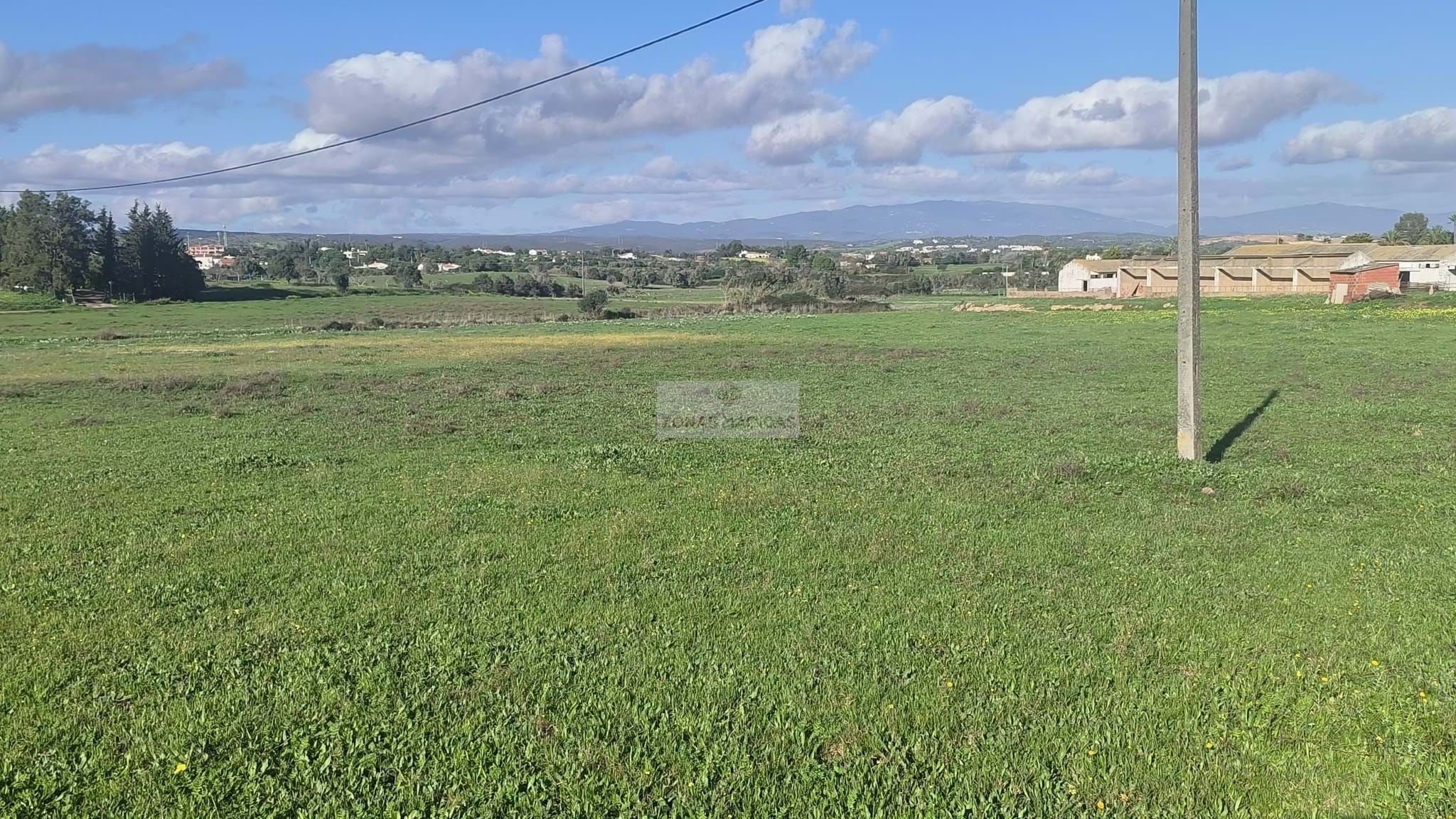 Land, For Sale